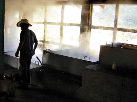 Taulabé: Azúcar morena con sabor a milagro
