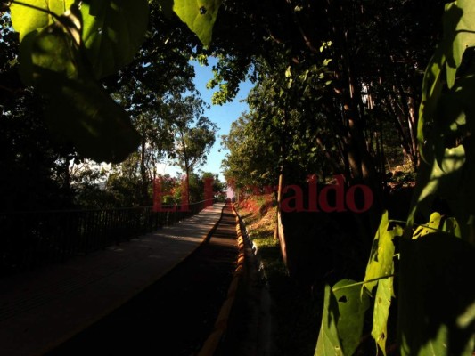 Fotos: Actividades que los capitalinos pueden realizar en el renovado Cerro Juana Laínez