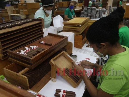 ¿Cómo se elabora el tabaco hondureño, reconocido entre los mejores a nivel mundial?