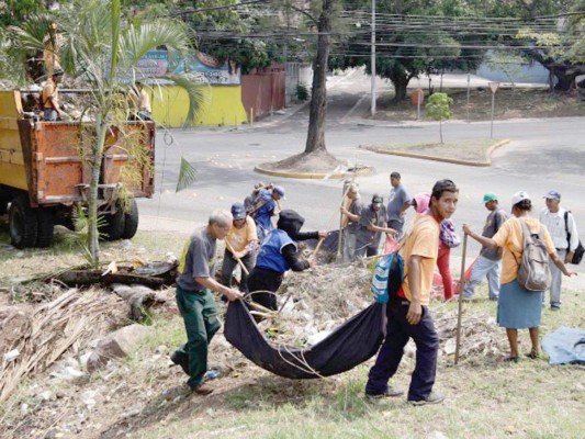 Salud declara epidemia de dengue en la capital por aumento de casos