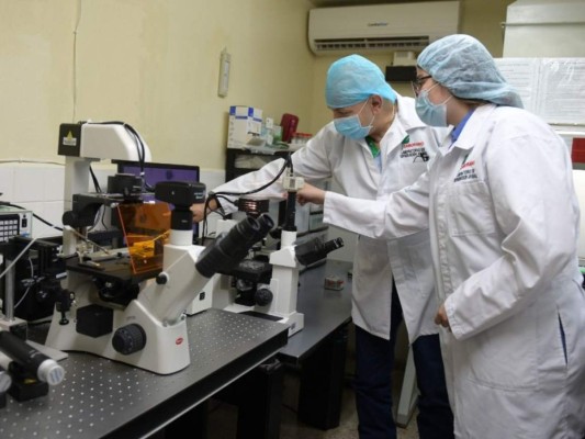 Zamorano expande su oferta académica con nuevas maestrías y certificados de actualización profesional