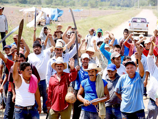 Pobladores del Bajo Aguán se han tomado las fincas, según MUCA y Marca