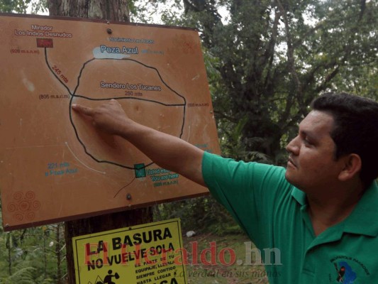 La vasta riqueza natural de Bioparque Paradise y DyD Brewery, Lodge, and Restaurant