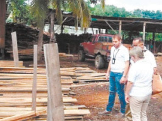 24 detenidos dejó la Operación Gaia de la Fiscalía