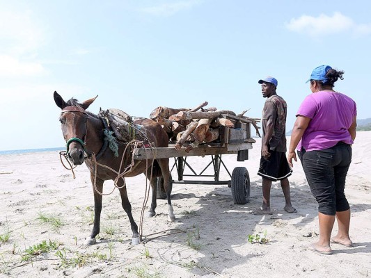 Los garífunas, el alma del caribe