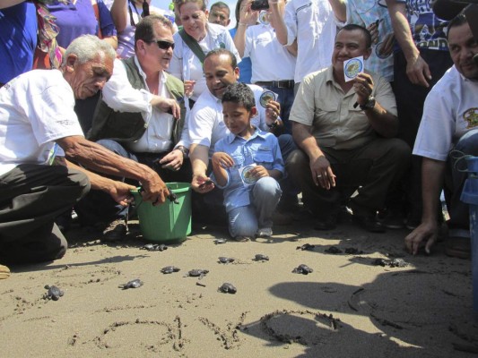 Honduras: Un éxito la liberación de la tortuga golfina en las playas del Pacífico
