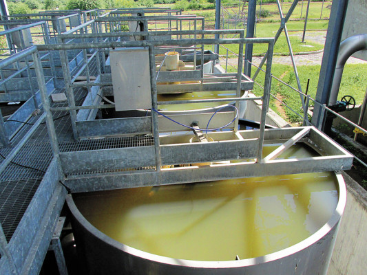 Agua con escaso tratamiento reciben vecinos de San Lorenzo