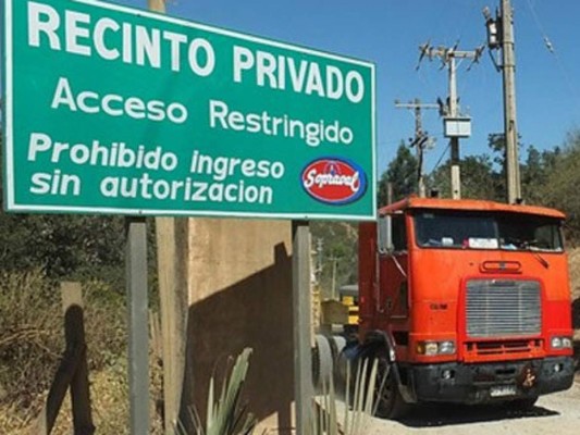 Gripe aviar: Bolivia refuerza control en frontera con Chile y prohíbe ingreso de aves