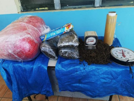 Decomisan 40 libras de marihuana durante un allanamiento en Tocoa