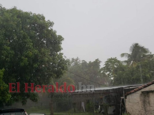 FOTOS: Tormenta azotó las calles de la capital de Honduras