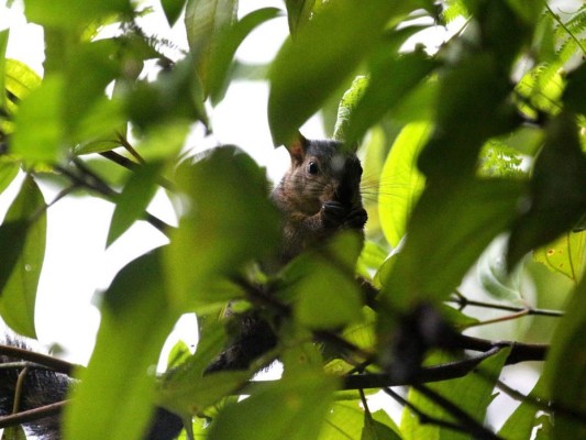 Lago Fest: un paraíso para senderismo, kayak y avistamiento de aves