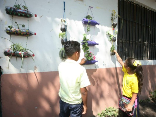 ¡Enhorabuena! Héroes escolares salvan al planeta
