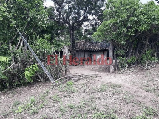 Pineda, una belleza oculta en el municipio de Marales