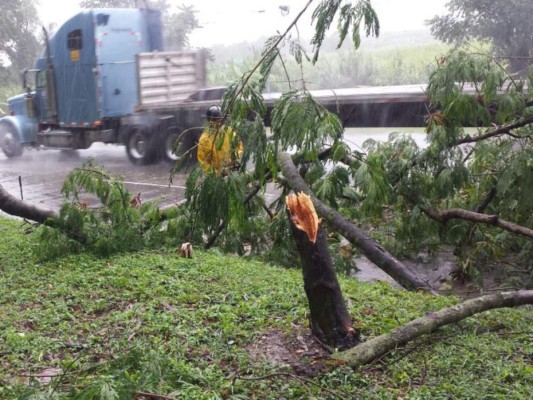 Honduras: Un muerto y daños por lluvias; en alerta amarilla cinco departamentos del norte