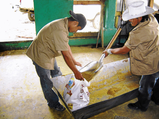 Taulabé: Azúcar morena con sabor a milagro