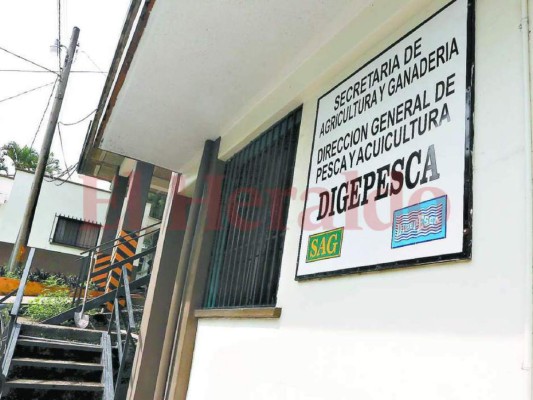 Autoridades de la Secretaría de Agricultura y Ganadería destituyen al titular de Digepesca