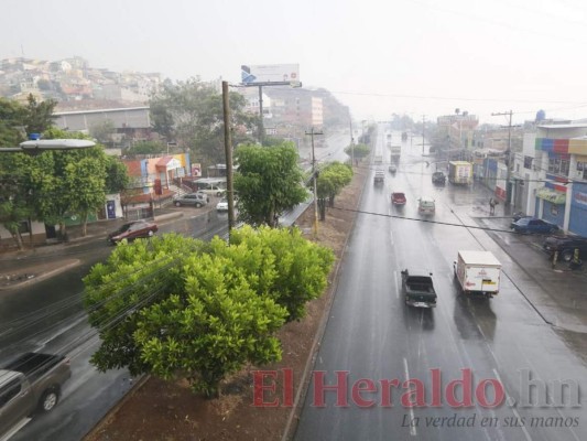 FOTOS: Primeras lluvias de la temporada refrescan la capital, inundada de humo