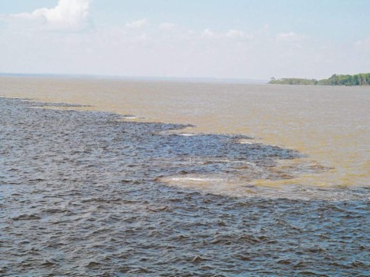 De la fiebre del caucho al París de los trópicos