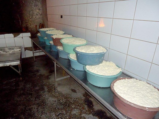 El arte hondureño de elaborar quesillo