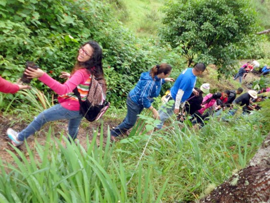 Grupo Opsa al rescate de reserva forestal la Tigra en trabajos de reforestación.