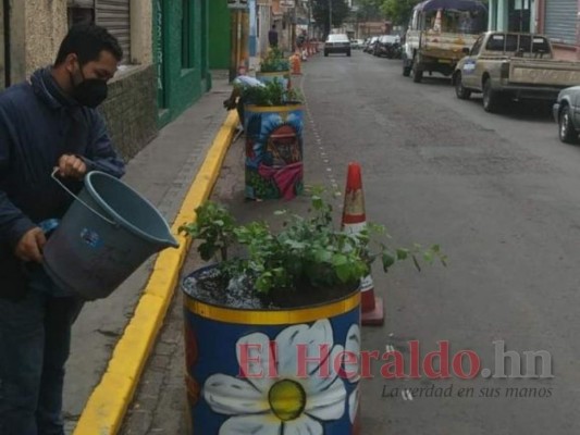Maceteras serán utilizadas como vallas de tráfico en la capital