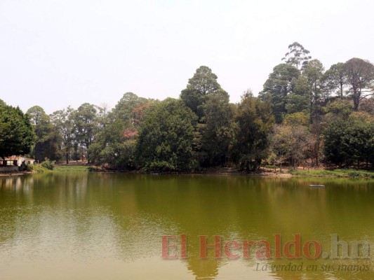FOTOS: Valle de Ángeles y Santa Lucía hoy parecen pueblos fantasmas