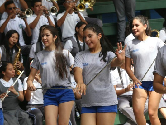 Hermosos ramilletes de palillonas engalanarán los desfiles en la capital
