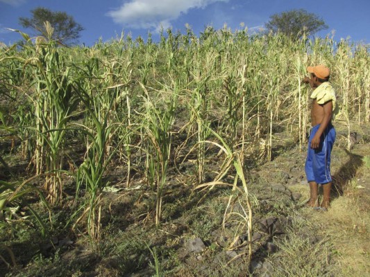 Valle urge de mayor inversión en temas de vulnerabilidad
