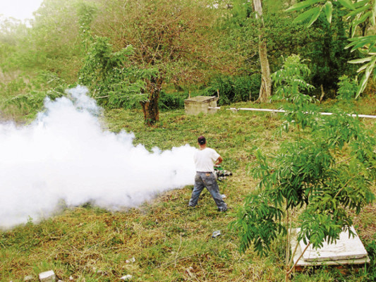 Comayagua en alerta de epidemia por repunte de casos de dengue