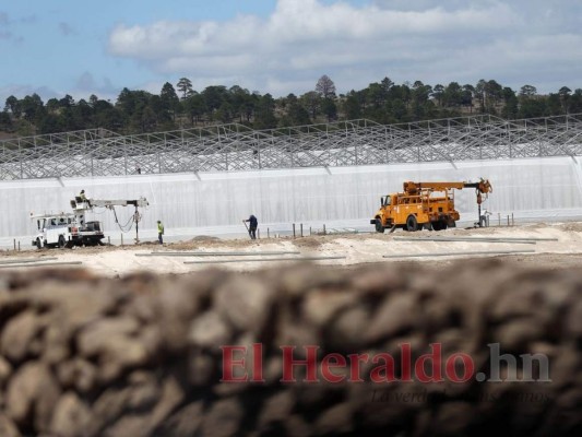Próspera, Morazán, Orquídea o Agroalpha ¿Qué Zede tomará más territorio de Honduras?
