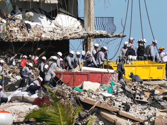 Topos de México se unen a la búsqueda de desaparecidos en Miami