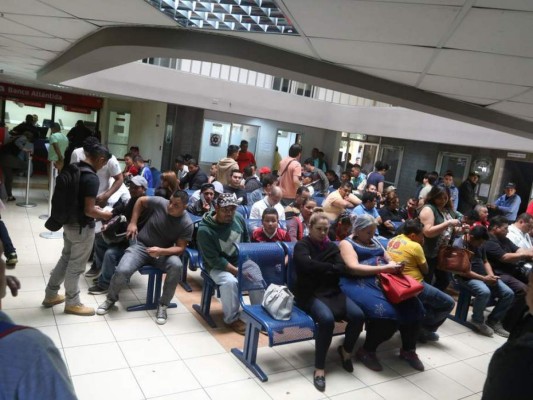 Hondureños podrán tramitar su licencia, antecedentes y portar su arma desde el lunes