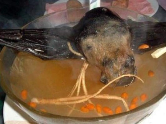 Relacionan la sopa de murciélago con el coronavirus&nbsp;&nbsp;