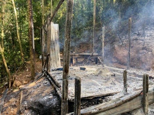 Queman narcolaboratorio y más de ocho mil plantas de coca en Colón
