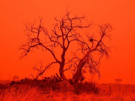 Los principales acontecimientos científicos que marcaron 2021 (Fotos)