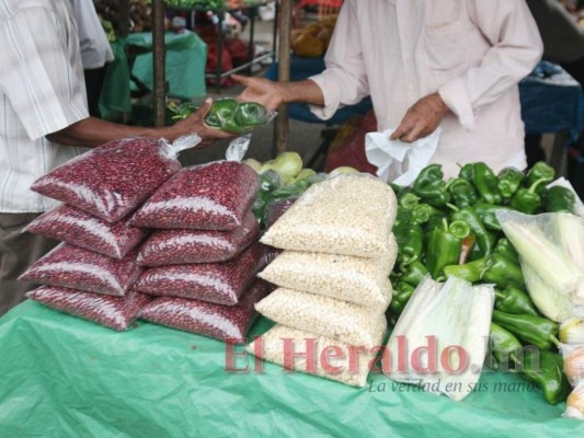 El costo de la canasta alimenticia aumenta a 9,095.85 lempiras mensuales