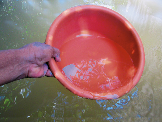 Agua con escaso tratamiento reciben vecinos de San Lorenzo