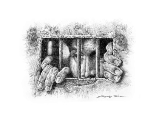 Carmilla Wyler: Los crímenes más absurdos (Parte II)