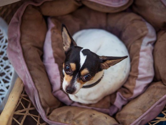 Anarella Vélez Osejo, entre la poesía y la esperanza &nbsp;&nbsp;