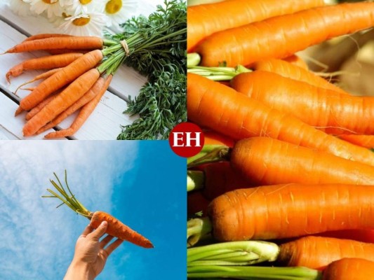 Los 15 beneficios de la zanahoria que no conocías