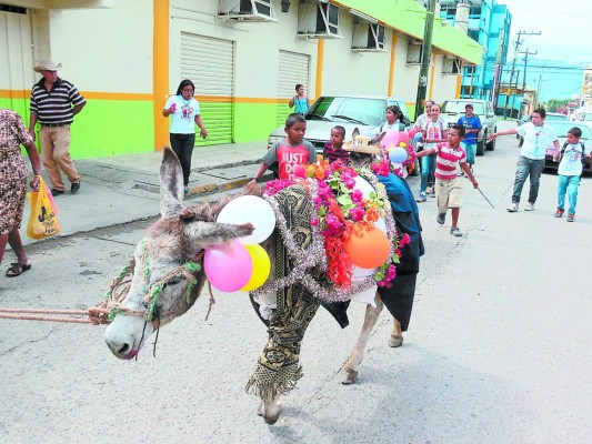 Burros enflorados desfilan por las calles de Comayagua