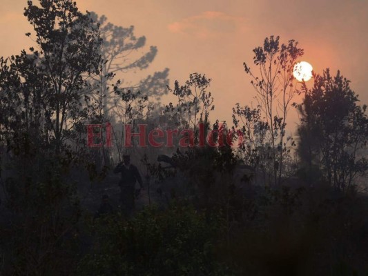 Las infernales imágenes del incendio que consume el bosque de la capital de Honduras