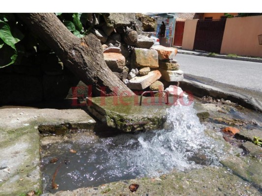 Hurtan más de 20 contadores de agua en Lomas del Cortijo de la capital de Honduras