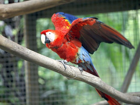 Flora y Fauna