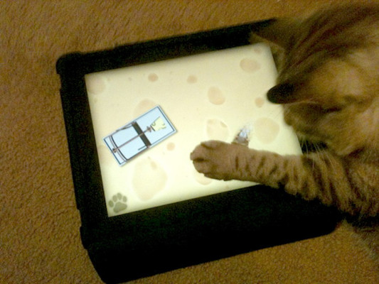 iPad para gatos
