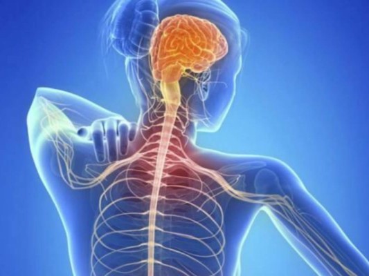 Los síntomas tempranos de la esclerosis múltiple que debes conocer&nbsp;&nbsp;