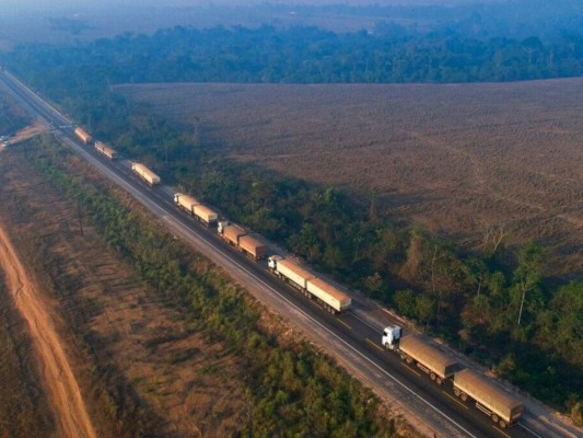 Brasil: No hay suspensión de protecciones amazónicas