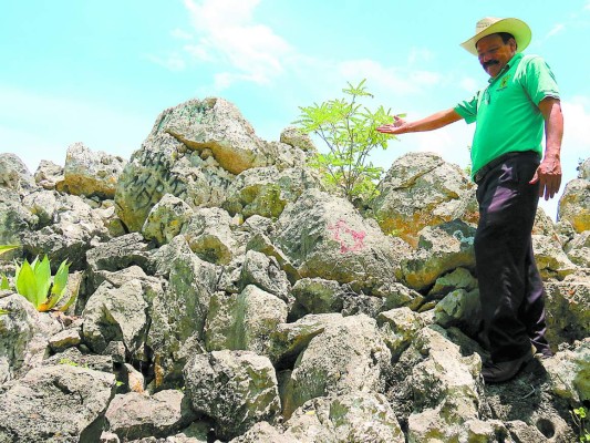 Hallazgo de fósiles revela que existió un mar en lo que hoy es Comayagua