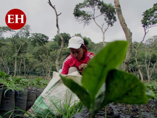 Las 10 mejores fotos de la semana en Honduras