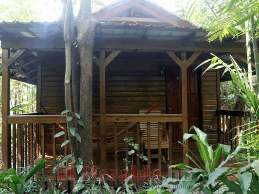 La vasta riqueza natural de Bioparque Paradise y DyD Brewery, Lodge, and Restaurant